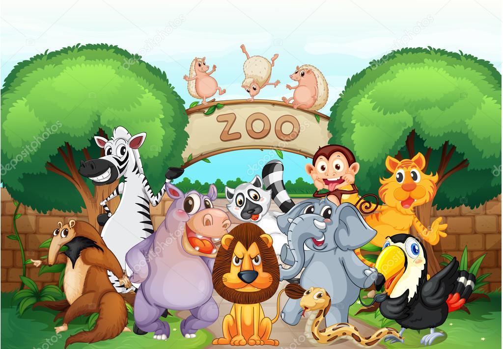 depositphotos_13858391_stock_illustration_zoo_and_animals.jpg