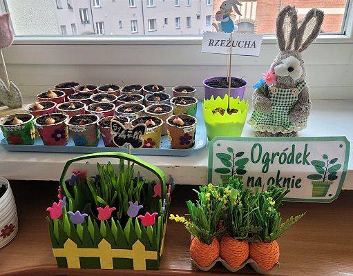 WIOSENNY OGRÓDEK U PINGWINKÓW