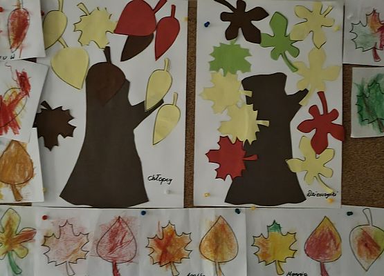GRUPA  IX grafika