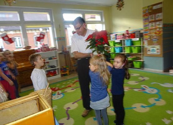 WIZYTA  PSZCZELARZA grafika