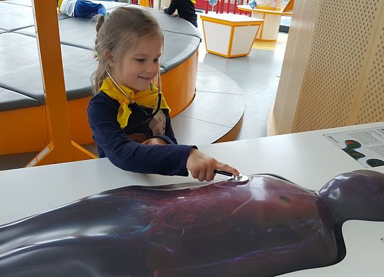 ŚREDNIAKI  I  STARSZAKI  W  CENTRUM  NAUKI  EKSPERYMENT  W  GDYNI grafika