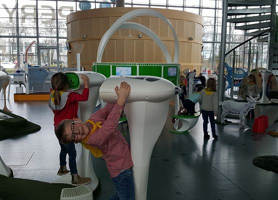 ŚREDNIAKI  I  STARSZAKI  W  CENTRUM  NAUKI  EKSPERYMENT  W  GDYNI grafika