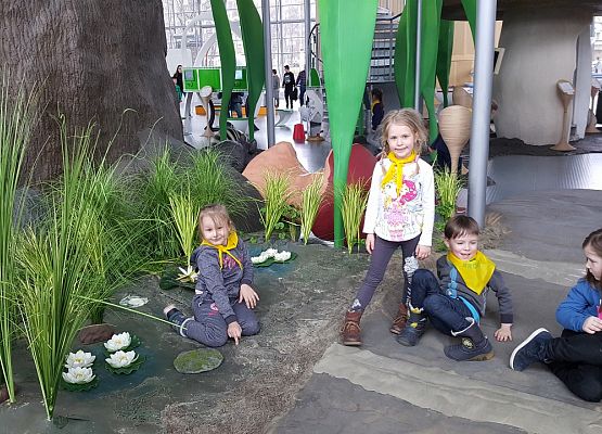 ŚREDNIAKI  I  STARSZAKI  W  CENTRUM  NAUKI  EKSPERYMENT  W  GDYNI grafika