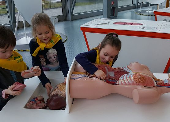 ŚREDNIAKI  I  STARSZAKI  W  CENTRUM  NAUKI  EKSPERYMENT  W  GDYNI grafika