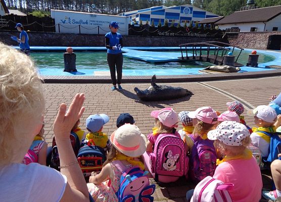 MALUSZKI NA WYCIECZCE SEA PARK W SARBSKU grafika