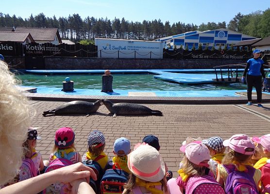 MALUSZKI NA WYCIECZCE SEA PARK W SARBSKU grafika