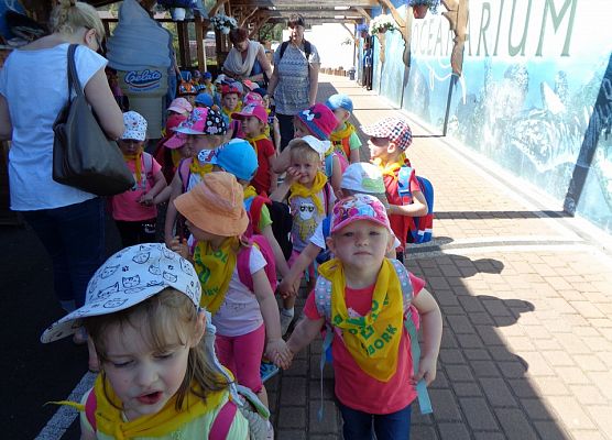 MALUSZKI NA WYCIECZCE SEA PARK W SARBSKU grafika