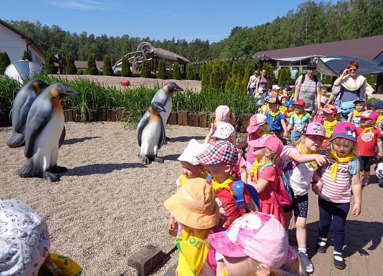 MALUSZKI NA WYCIECZCE SEA PARK W SARBSKU grafika