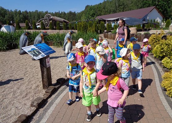 MALUSZKI NA WYCIECZCE SEA PARK W SARBSKU grafika