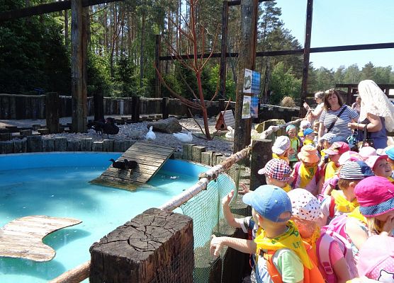 MALUSZKI NA WYCIECZCE SEA PARK W SARBSKU grafika