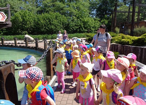 MALUSZKI NA WYCIECZCE SEA PARK W SARBSKU grafika