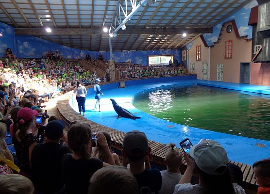 MALUSZKI NA WYCIECZCE SEA PARK W SARBSKU grafika