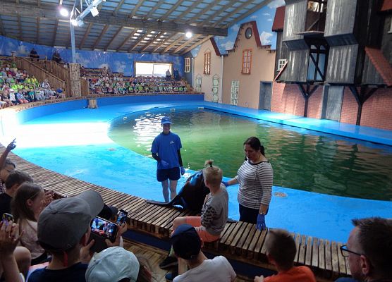 MALUSZKI NA WYCIECZCE SEA PARK W SARBSKU grafika