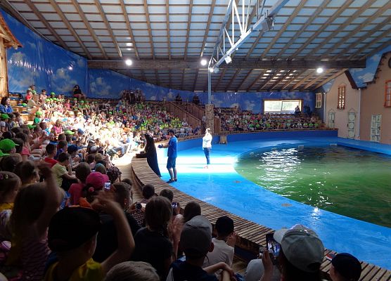 MALUSZKI NA WYCIECZCE SEA PARK W SARBSKU grafika