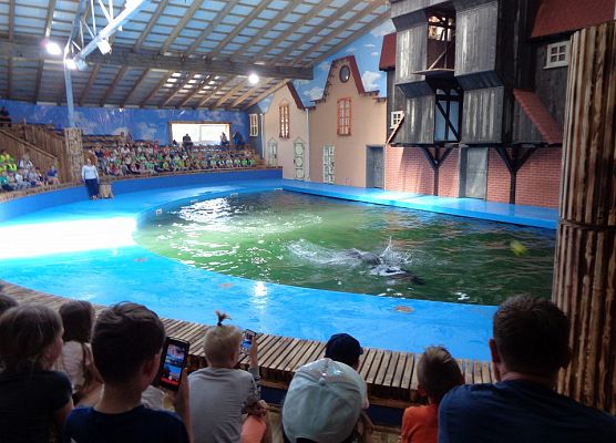 MALUSZKI NA WYCIECZCE SEA PARK W SARBSKU grafika