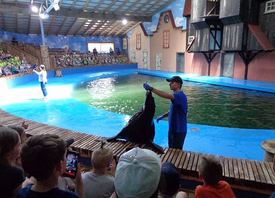 MALUSZKI NA WYCIECZCE SEA PARK W SARBSKU grafika