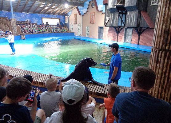 MALUSZKI NA WYCIECZCE SEA PARK W SARBSKU grafika
