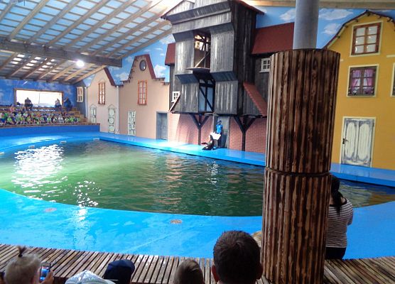 MALUSZKI NA WYCIECZCE SEA PARK W SARBSKU grafika