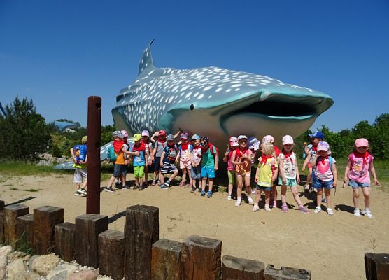  ŚREDNIAKI NA WYCIECZCE OCEAN PARK WŁADYSŁAWOWO grafika