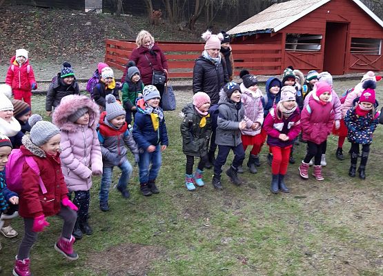 MISIAKI I ŻABKI NA WYCIECZCE W DRZEWINIE grafika