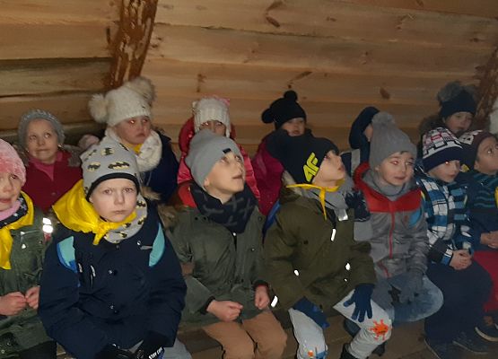 MISIAKI I ŻABKI NA WYCIECZCE W DRZEWINIE grafika