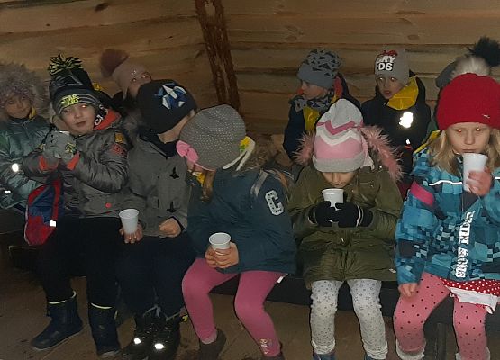 MISIAKI I ŻABKI NA WYCIECZCE W DRZEWINIE grafika