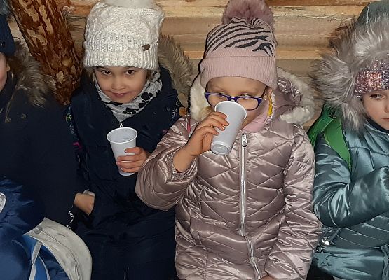 MISIAKI I ŻABKI NA WYCIECZCE W DRZEWINIE grafika