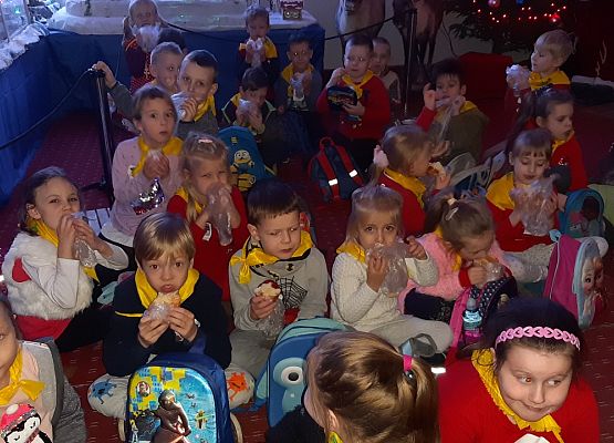 MISIAKI I ŻABKI NA WYCIECZCE W DRZEWINIE grafika