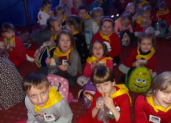 MISIAKI I ŻABKI NA WYCIECZCE W DRZEWINIE grafika