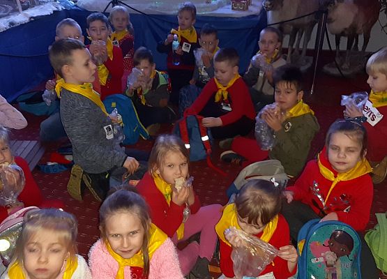 MISIAKI I ŻABKI NA WYCIECZCE W DRZEWINIE grafika