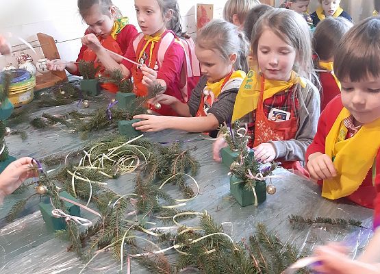 MISIAKI I ŻABKI NA WYCIECZCE W DRZEWINIE grafika