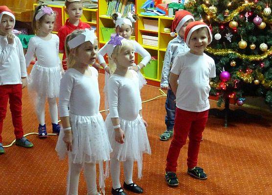 KOTKI  W  OCZEKIWANIU  NA  ŚWIĘTA grafika