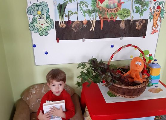 MALUCHY - DZIELNE  ZUCHY  grafika