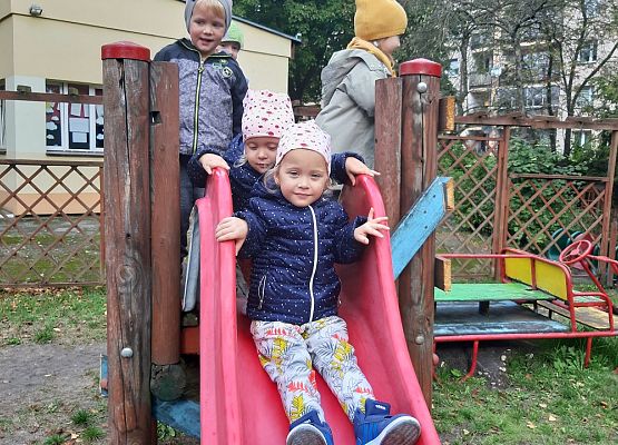 MALUCHY - DZIELNE  ZUCHY  grafika