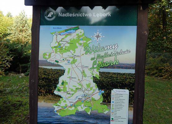 WYCIECZKA DO LASU grafika