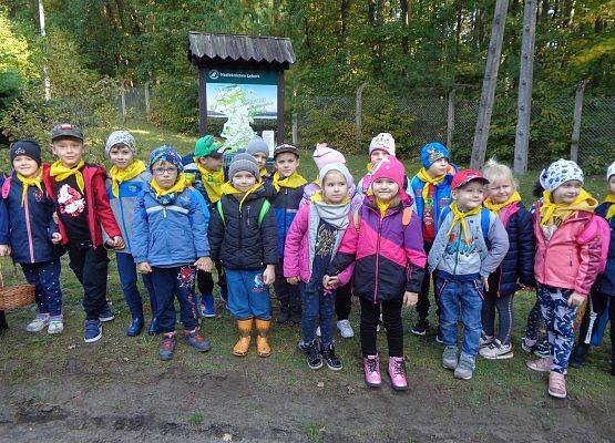 WYCIECZKA DO LASU grafika