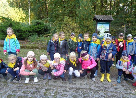 WYCIECZKA DO LASU grafika