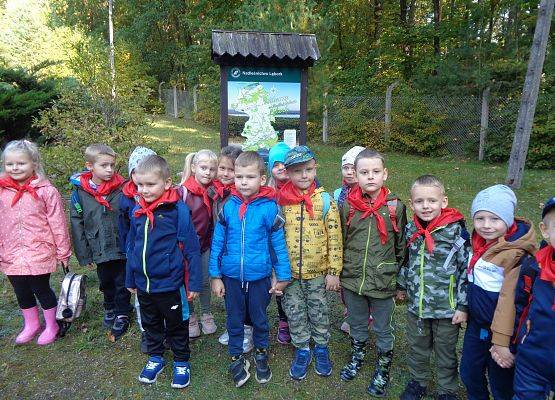 WYCIECZKA DO LASU grafika