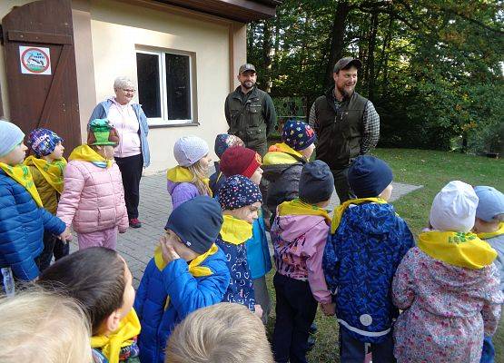 WYCIECZKA DO LASU grafika