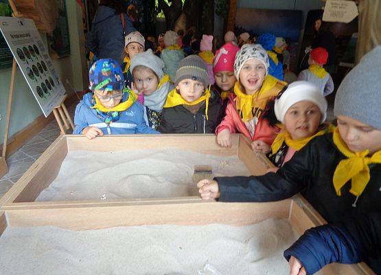 WYCIECZKA DO LASU grafika