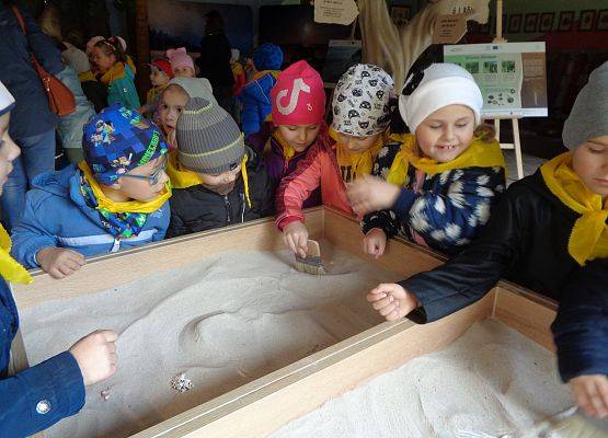 WYCIECZKA DO LASU grafika