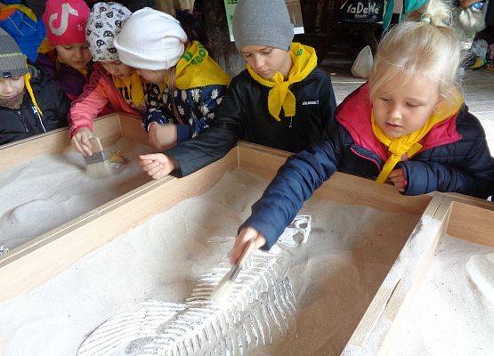 WYCIECZKA DO LASU grafika