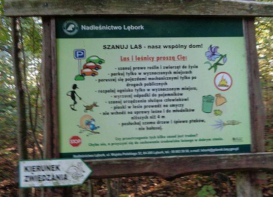 WYCIECZKA DO LASU grafika