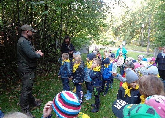 WYCIECZKA DO LASU grafika