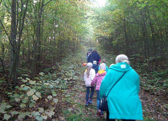 WYCIECZKA DO LASU grafika