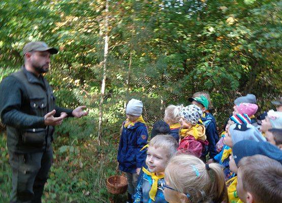 WYCIECZKA DO LASU grafika
