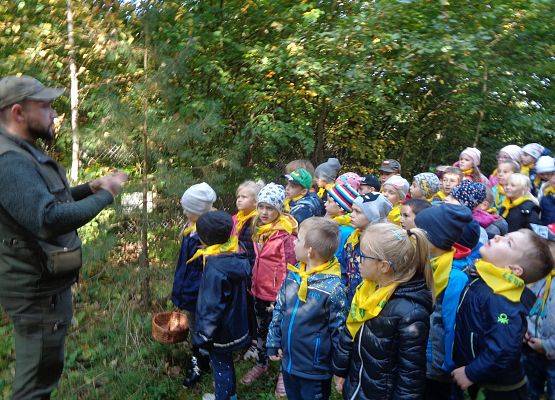 WYCIECZKA DO LASU grafika