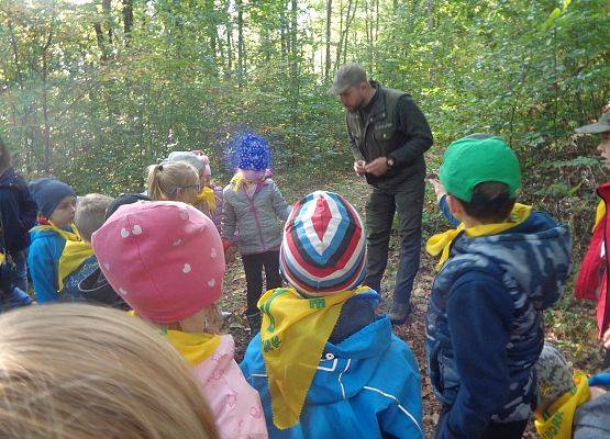 WYCIECZKA DO LASU grafika