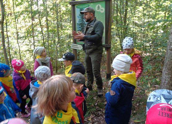 WYCIECZKA DO LASU grafika