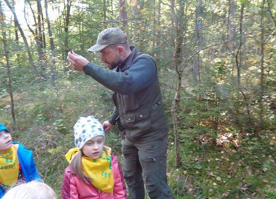 WYCIECZKA DO LASU grafika